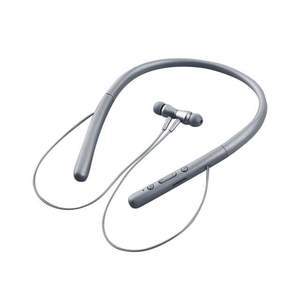 CloudEcho Bluetooth Headphones