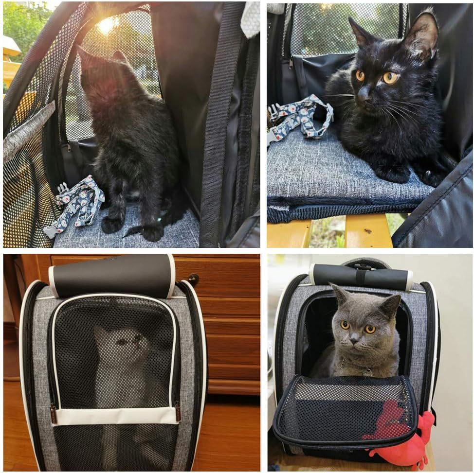 Porta Paw Carrier