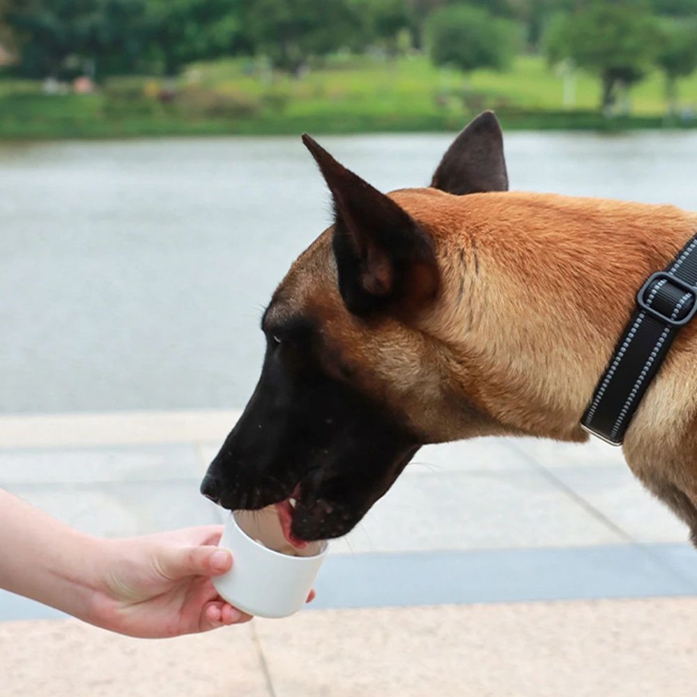 ViaDrip Dual Purpose Portable Feeder
